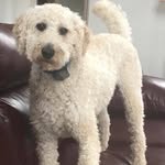 Sherry Diamond - @sherry.diamond.3 - Instagram