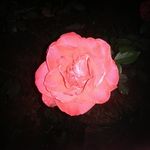 sherry diaz - @sherrydiaz9710 - Instagram