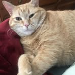 Sherry Dickey - Facebook