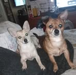 Sherry Dickey - Facebook