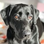 Sheri Dickinson - @dickinsonsheri - Instagram