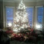 Sherry Dougherty - @sdough23 - Instagram
