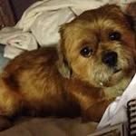 Sherry Dougherty - @sherryjo1123 - Instagram