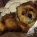 Sherry Dougherty - Facebook