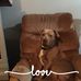 Sherry D Dowling - Facebook