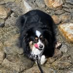 Sherry Dowling - @sherry_dowling - Instagram
