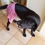 Sherryle Dowling - @sherryledowling - Instagram