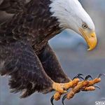 Sherry ONeill Driggers - @sherryoneilldriggers24 - Instagram