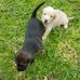 Sherry Drum - Facebook
