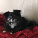Sherry Drury - @shdrury - Instagram