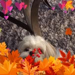 Sherry Duffy - @sherry.duffy - Instagram