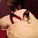 Sherry Dunavin - @sherrydunavingmail.com_ - Instagram