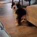 Sherry Dunham - Facebook
