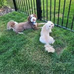 Sherry Dunham - @soxfan923 - Instagram