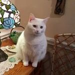 Sherry Dunker - @sherrydunker - Instagram