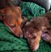 Shari Malone DuVall - Facebook