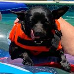 Sherry Duvall - @sherryduvall21 - Instagram