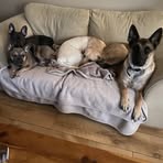Sherry Dyer - Facebook