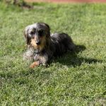 Sherry Eason - @sherry_e_724 - Instagram