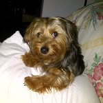 Sherry Eason-Bitzel - @sherryeason68 - Instagram