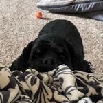 Sherry Ketchum Eason - @skeason68 - Instagram