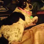 Sherry Easterwood - @lgndsracer25 - Instagram