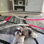 Sherry Eddy - @sherryeddy56 - Instagram