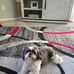 Sherry Eddy - Facebook