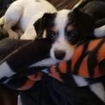 Sherry Edgell - @sherryedgell05 - Instagram