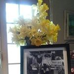 Sherry Emerson - @bubae1957 - Instagram