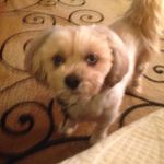 Sherry K Emerson - @sherry_e_15 - Instagram