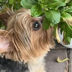 Sherri Eubanks - @sherri.eubanks.7 - Instagram