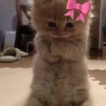 Sherry J Eubanks - @sherryjeubanks - Instagram