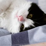 风吃吃 - @falconsherry - Instagram
