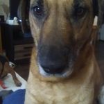 Sherry Farris - @sherryfarris2020 - Instagram
