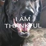Sherry Ferguson - @sherry.ferguson.777 - Instagram
