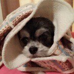 Sherry Fields - @fieldssherey48yahoocom - Instagram