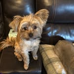 Sherry Fields - @fieldssherry48 - Instagram