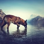 Sherry fields - @sherry_fields01 - Instagram