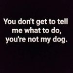 Sherry Fitzpatrick - @sherryfitzpatrick21 - Instagram