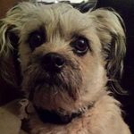 Sherry Fitzpatrick - @sherryfitzpatrick - Instagram
