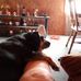 Sherry Roesler Fitzpatrick - Facebook