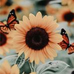 Sherry Flores - Facebook