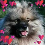 Sherry Flores - Facebook