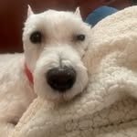 Sherry Futrell - @sherry_._007 - Instagram