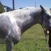 Sherry Getchell - Facebook