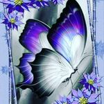 Sherry Gillespie - @gillespie0044 - Instagram