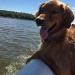 Sherry Glaser Dodd - @dodd_sherry - Instagram