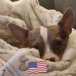 Sherry Glover - @sherry.geraghty.1 - Instagram