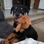 Sherry Glover - @sherry.glover.50702 - Instagram
